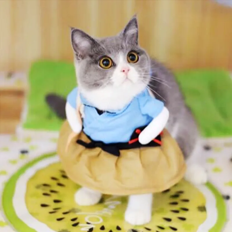 Funny-Cat-Clothes-Pirate-Suit-Clothes-For-Cat-Costume-Clothing-Corsair-Halloween-Clothes-Dressing-Up-5