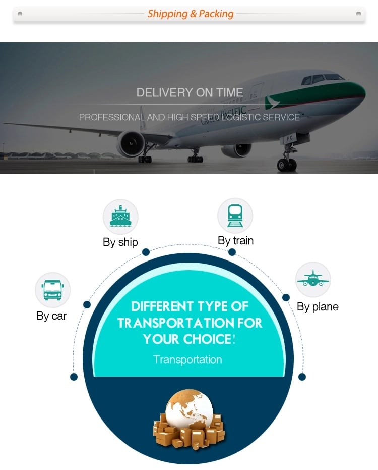 Portable and Stationary Oxygen Concentrators (4) Portable and Stationary Oxygen Concentrators (4)