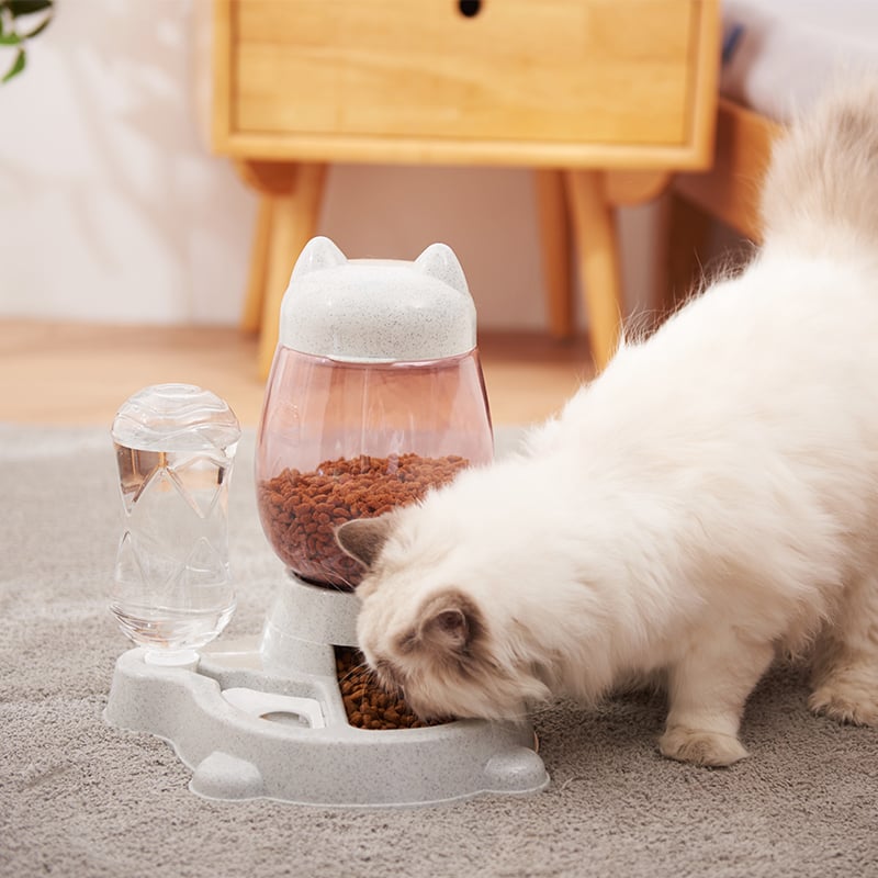2-2l-pet-c-o-gato-autom-tico-alimentador-tigela-para-c-es-de-gua-pot (4)