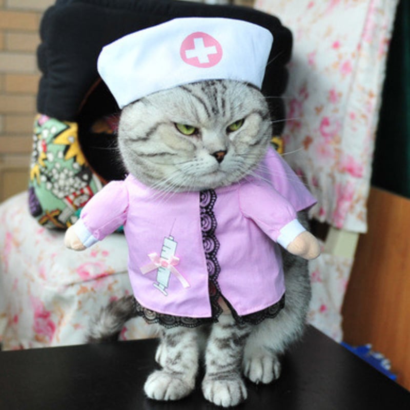 Funny-Cat-Clothes-Pirate-Suit-Clothes-For-Cat-Costume-Clothing-Corsair-Halloween-Clothes-Dressing-Up (6)
