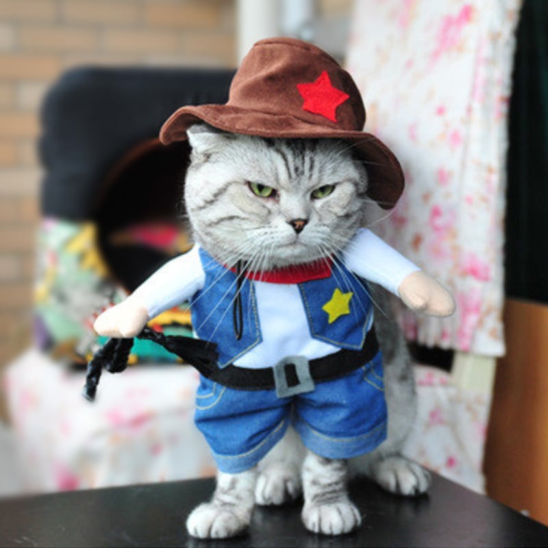 Funny-Cat-Clothes-Pirate-Suit-Clothes-For-Cat-Costume-Clothing-Corsair-Halloween-Clothes-Dressing-Up (7)