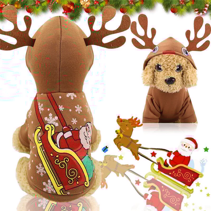 Best Yiwu buying Agent