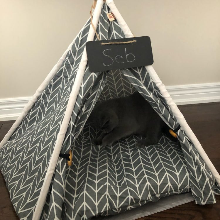 Best Yiwu buying Agent