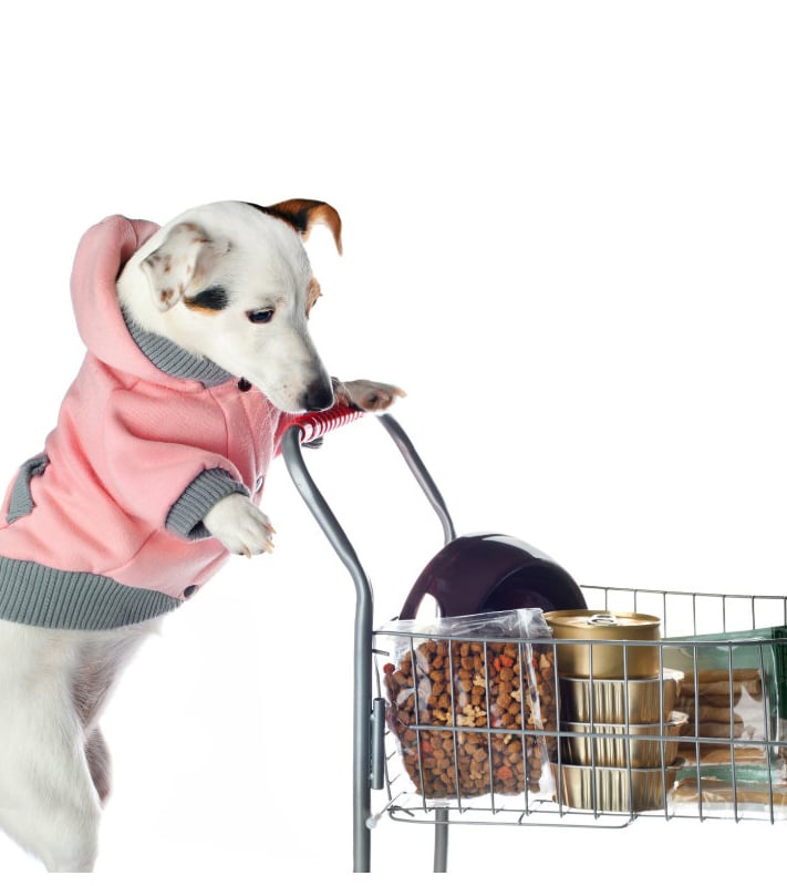 Best Yiwu buying Agent