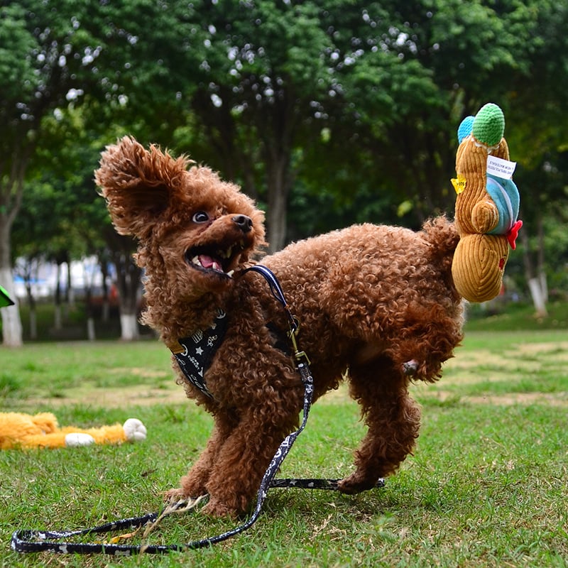 El Mejor agente de Yiwu