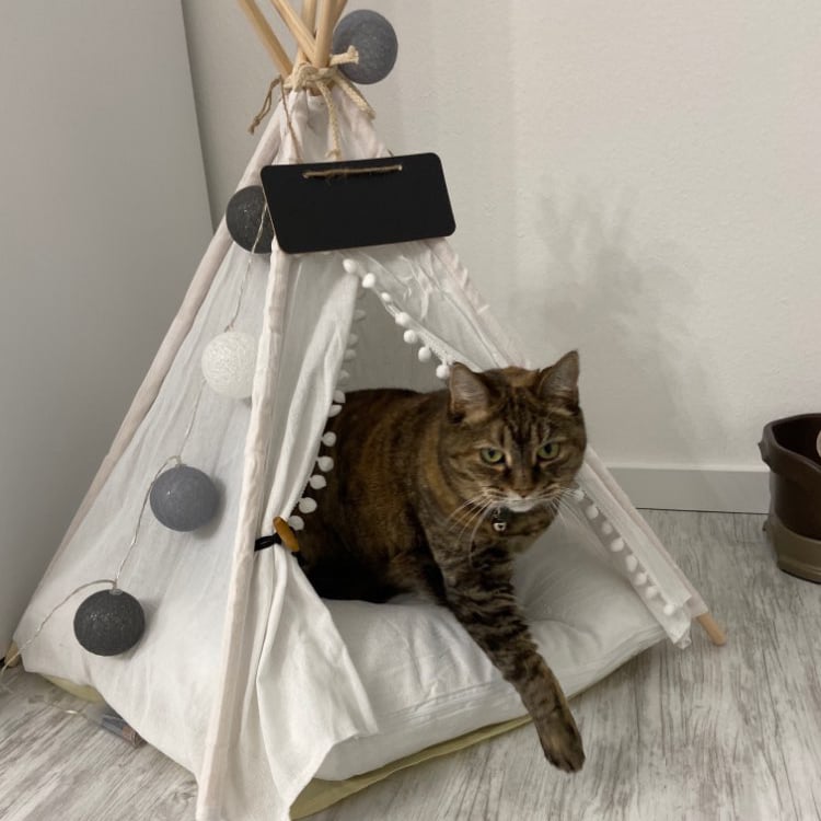 Best Yiwu buying Agent