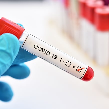 El Mejor agente de Yiwu