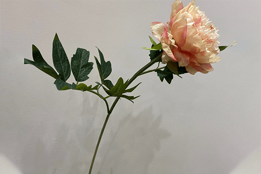 Best Yiwu buying Agent