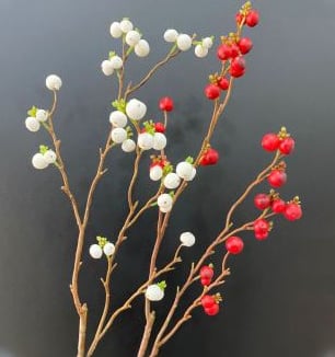 El Mejor agente de Yiwu