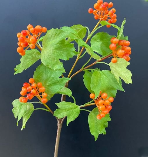 Best Yiwu buying Agent