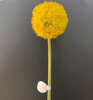 Best Yiwu buying Agent