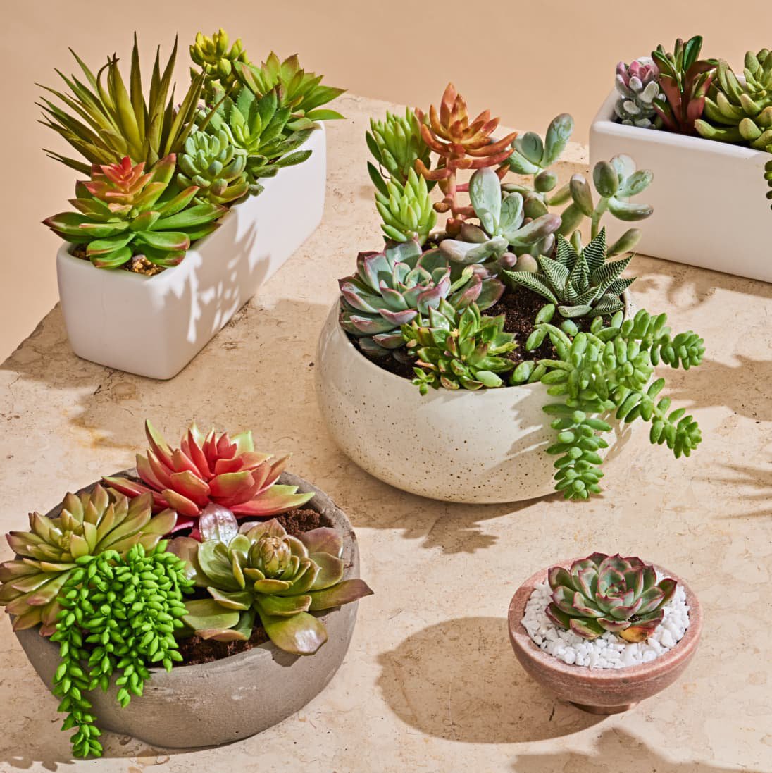 Лучший агент рынка Иу