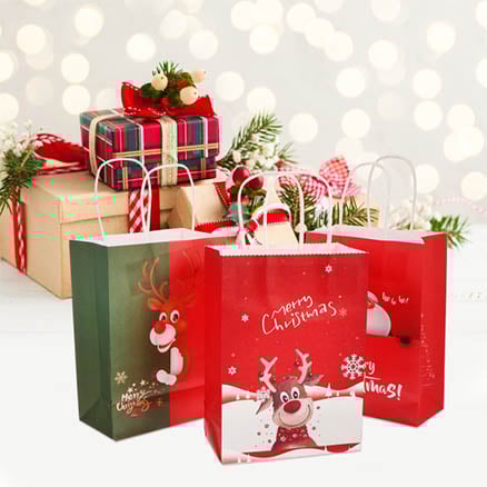 Christmas Paper Gift Bags5 Christmas Paper Gift Bags5