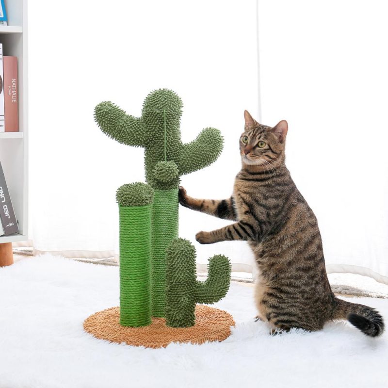 Cute-Cactus-Pet-Cat-Tree-Toys-with-Ball-Scratcher-Posts-for-Cats-Kitten-Climbing-Tree-Cat (6)