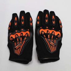 Gloves (10)