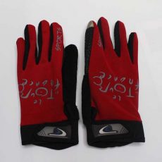 Gloves (73)