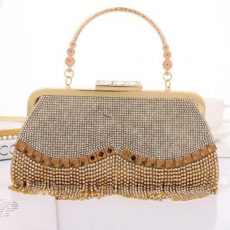 mini delicate clutch (13)