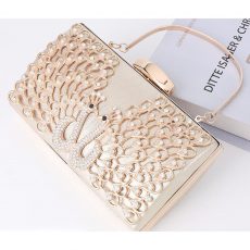 mini delicate clutch (17)