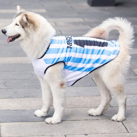 pet-clothes (3)